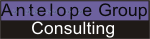 Antelope Group Consulting Inc.